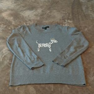 Gray puppy with a crown sweater